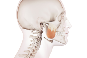 fotolia_88499457_s2